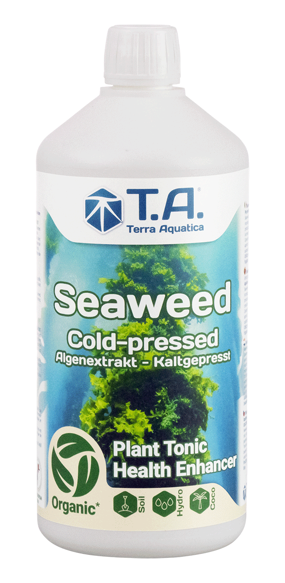 T.A. Seaweed